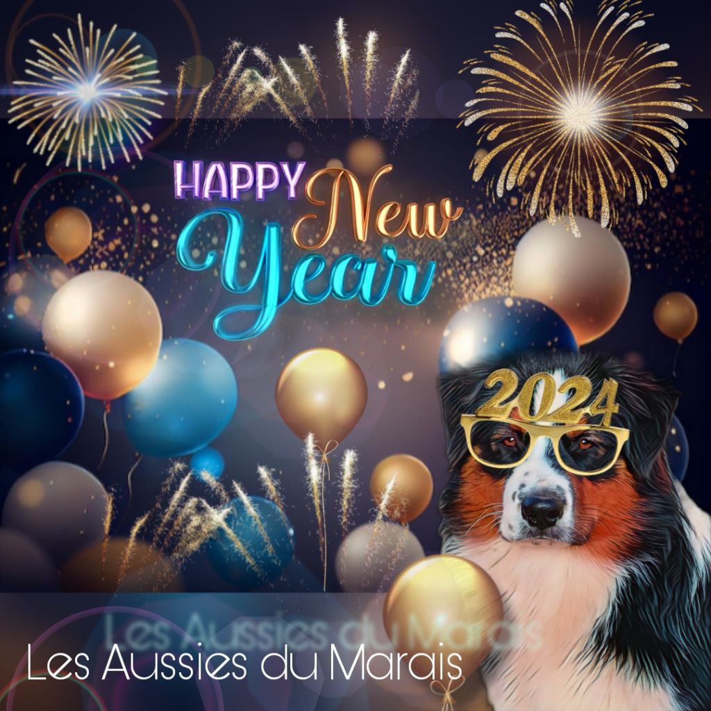 Des Aussies Du Marais - Belle et heureuse année 2024 ! 