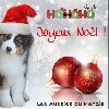  - Joyeux Noël !